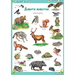 Табло „Дивите животни“