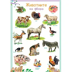 Табло „Животните на двора“