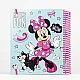 MINNIE креативен албум