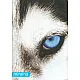 MITAMA Тетрадка А4, офсет, 40 л малки квадрати