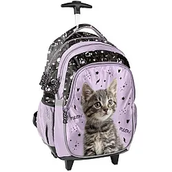 PASO CAT раница с колела