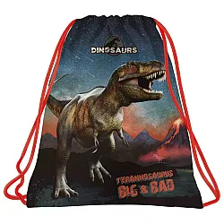 DINOSAUR 17 спортна торба