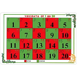 Учебна таблица: Числата от 1 до 20 (Скорпио)