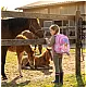 Ученическа раница ARS UNA Anatomy M - Horse (5526)
