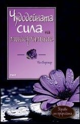 Чудодейната сила на минералите