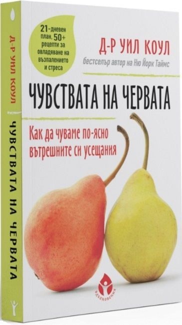 Чувствата на червата. Как да разчитаме по-ясно вътрешните си усещания