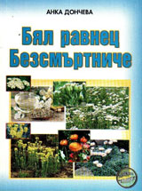 Бял равнец. Безсмъртниче