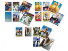 Класьор 4 ринга Animali, А4, 35 мм