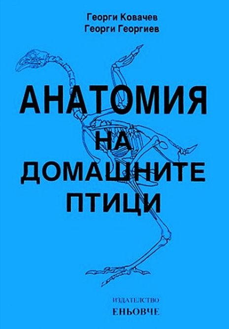 Анатомия на домашните птици