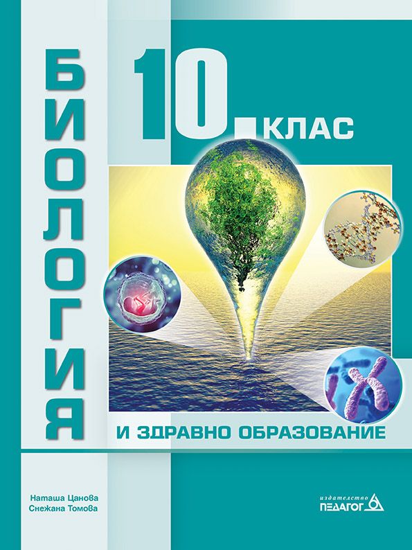 Биология и здравно образование за 10. клас. Учебна програма 2024/2025 (Педагог)