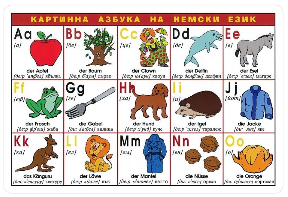 Картинна азбука на немски език - Учебна таблица (Скорпио)