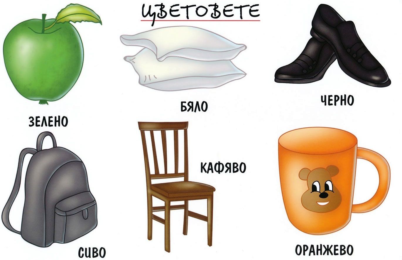 Мини табло: Цветовете