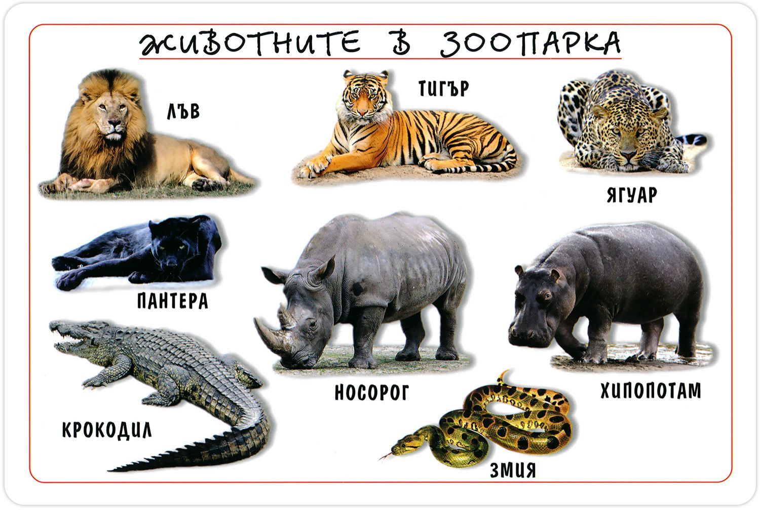 Мини табло: Животните в зоопарка