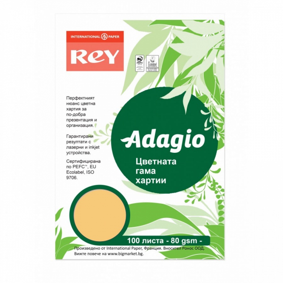 Копирна хартия REY Adagio, A4, 80 г, наситен цвят Beige (98), пакет 100 л.