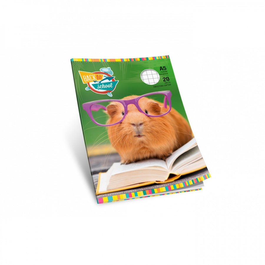 Multiprint тетрадка A5, 20 л., тесни и широки редове, офсет, меки корици